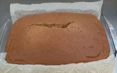 BIZCOCHO SALUDABLE (EL DE NUESTROS DESAYUNOS Y MERIENDAS)