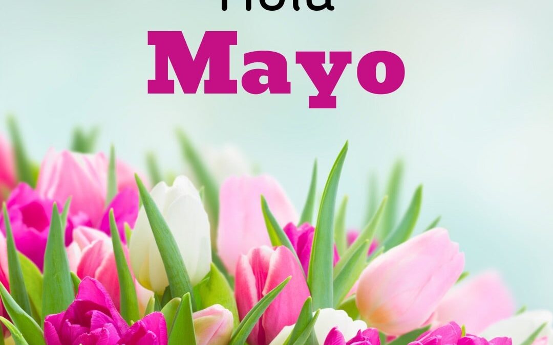MENÚ DE MAYO