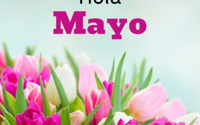 MENÚ DE MAYO